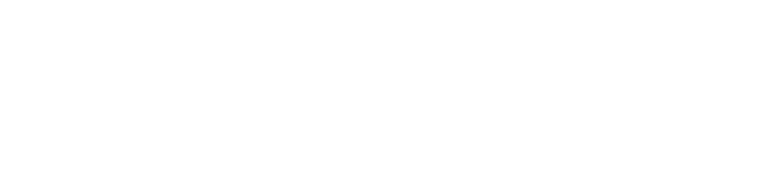 Central Cargo Logistic